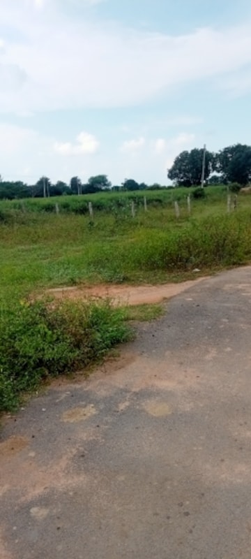 Plot For Resale in Modi Bloomdale Shamirpet Hyderabad  7732453