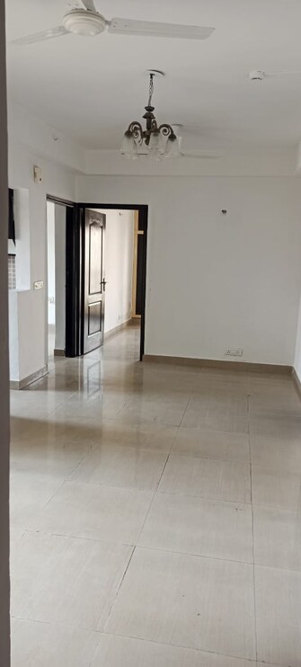 2 BHK Apartment For Resale in Ajnara Homes Noida Ext Sector 16b Greater Noida  7732975