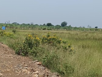 Plot For Resale in Malegaov Baramati  7733277