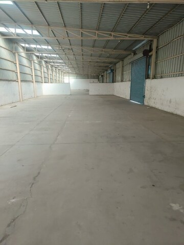 Commercial Warehouse 50000 Sq.Ft. For Rent in Sector 80 Noida  8331818