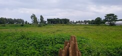 Plot For Sale in Lalru