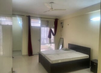 2 BHK Apartment For Rent in delhi Govt Officers Flats Greater Kailash I Delhi  8046138