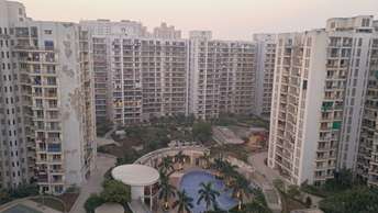 1 BHK Apartment For Resale in Dharti Presidio Malad West Mumbai  6190339