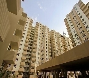2 BHK Apartment For Rent in Supreme 19