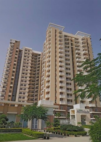 3 BHK Apartment For Rent in DLF The Belvedere Park Sector 24 Gurgaon  7907321