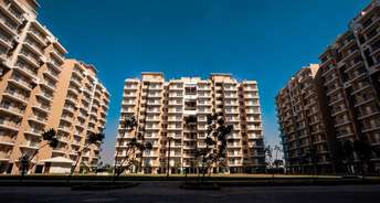 1 BHK Apartment For Rent in Ronak Residency Kalamboli Kalamboli Navi Mumbai 6694778
