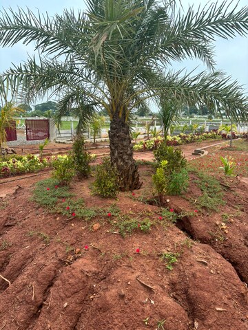 Plot Area in  Plot at Sri Bhumi Eeshaanya, Kankipadu – for Sale