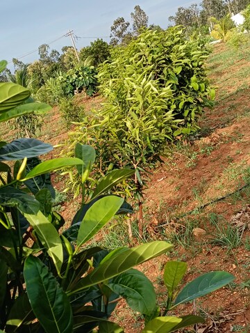  Plot – Exterior View View at Yelahanka - for Sale