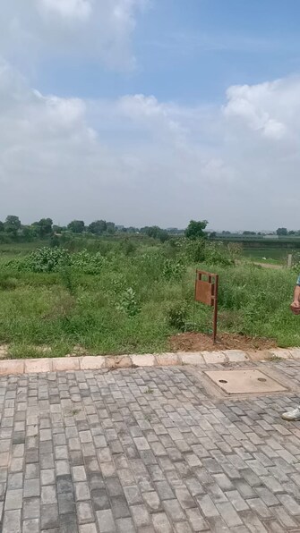 Plot For Resale in Sector 16a Faridabad  7734427