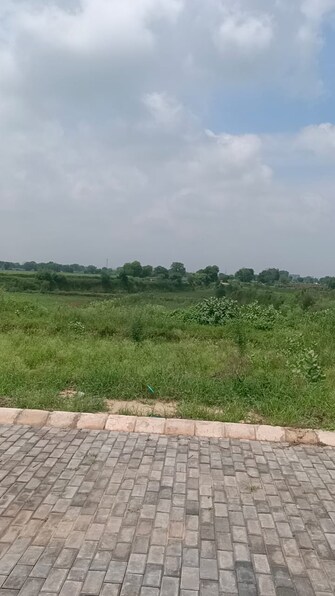 Plot For Resale in Sector 16a Faridabad  7734427