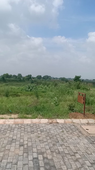 Plot For Resale in Sector 16a Faridabad  7734427