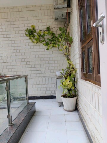 रेसिडेंशियल घर वर्ग फुट फॉर रेंट इन सेक्टर 25 नोएडा  7734443