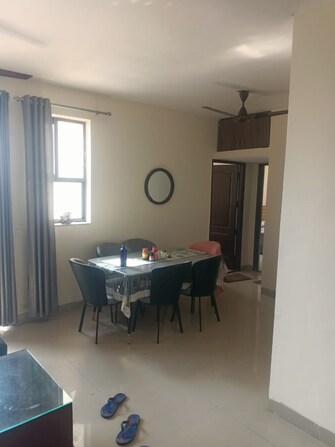 2 BHK Apartment For Rent in Unitech Uniworld Gardens 2 Sector 47 Gurgaon  7734547