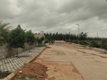 Plot Area in  Plot at Gateway Ananta One, Amangal – for Sale
