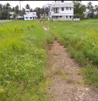 Plot For Resale in Thirpunithra Kochi  7734841