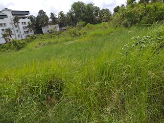 Plot For Resale in Thirpunithra Kochi  7734841