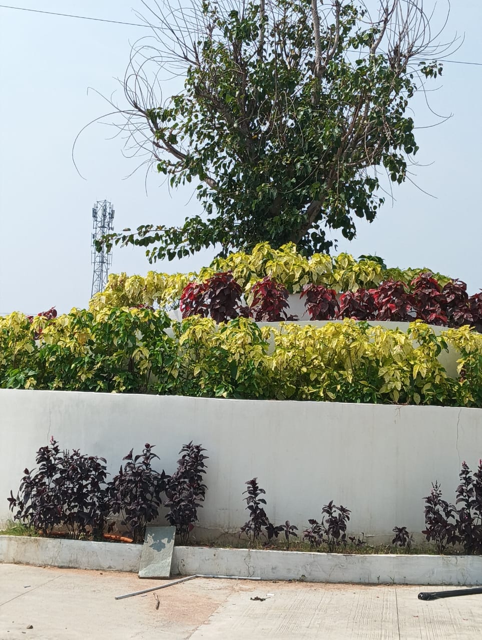 Plot For Resale in Happy Homes Shamirpet Shamirpet Hyderabad  7735045