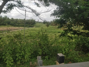 Plot For Resale in Jalahalli East Bangalore  7735534