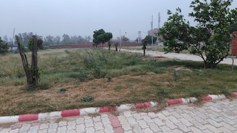 Plot For Resale in Sector 35 Bahadurgarh  7735965