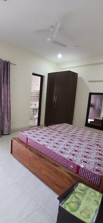 2 BHK Builder Floor For Rent in Sushant Lok 1 Sector 43 Gurgaon  7736168