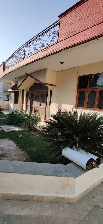 6 BHK Independent House For Resale in Sector 46 Faridabad  7736513