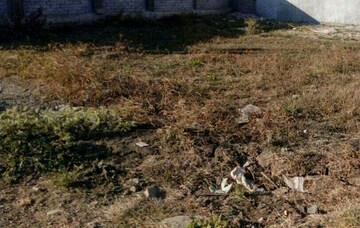 Plot Area in  Plot at Mahal – for Sale