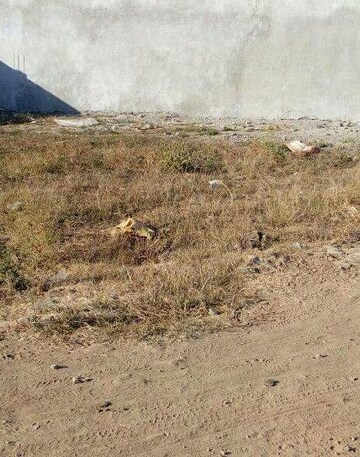 Plot Area in  Plot at Gandhibagh – for Sale