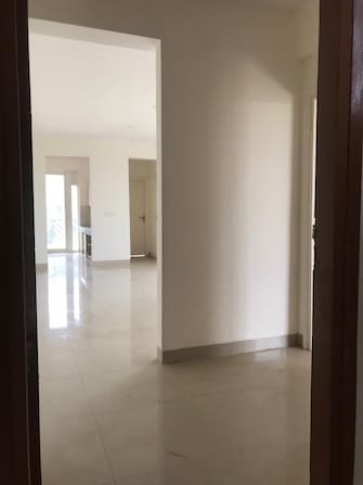 2 BHK Apartment For Rent in Puri Vip Floors Sector 81 Faridabad  7736916