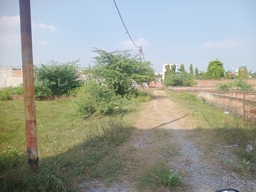  Plot For Sale in Mohanlalganj
