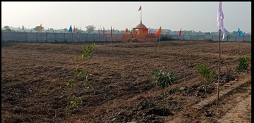 Plot Area in  Plot at Tappal – for Sale