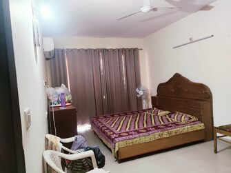 3 BHK Apartment For Rent in KLJ Greens Sector 77 Faridabad  7735039