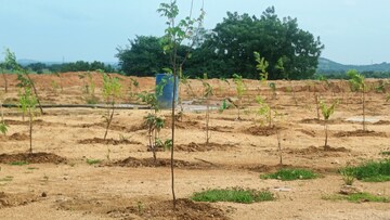  Plot For Sale in Jangaon