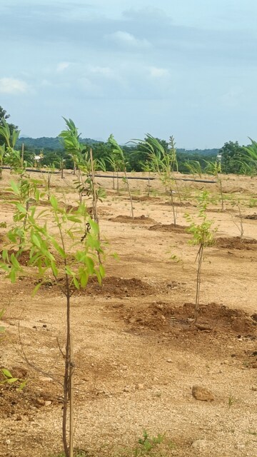 Plot Area in  Plot at Jangaon – for Sale