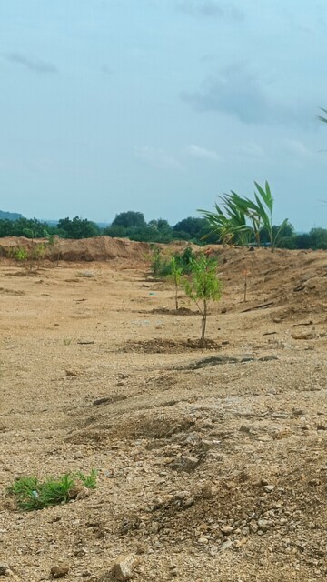 Plot Area in  Plot at Jangaon – for Sale