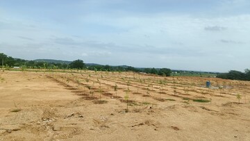 Plot Area in  Plot at Jangaon – for Sale