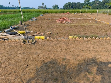 Plot Area in  Plot at Naubatpur – for Sale