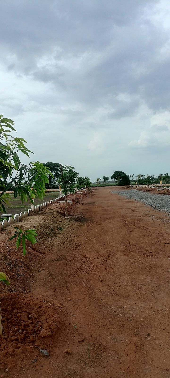 Plot For Resale in Sri Bhumi Eeshaanya Kankipadu Vijayawada  7737961