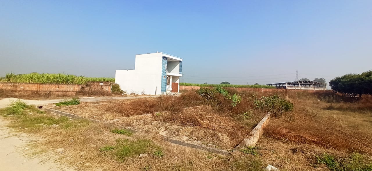 Plot For Resale in Dholera Ahmedabad  7738127