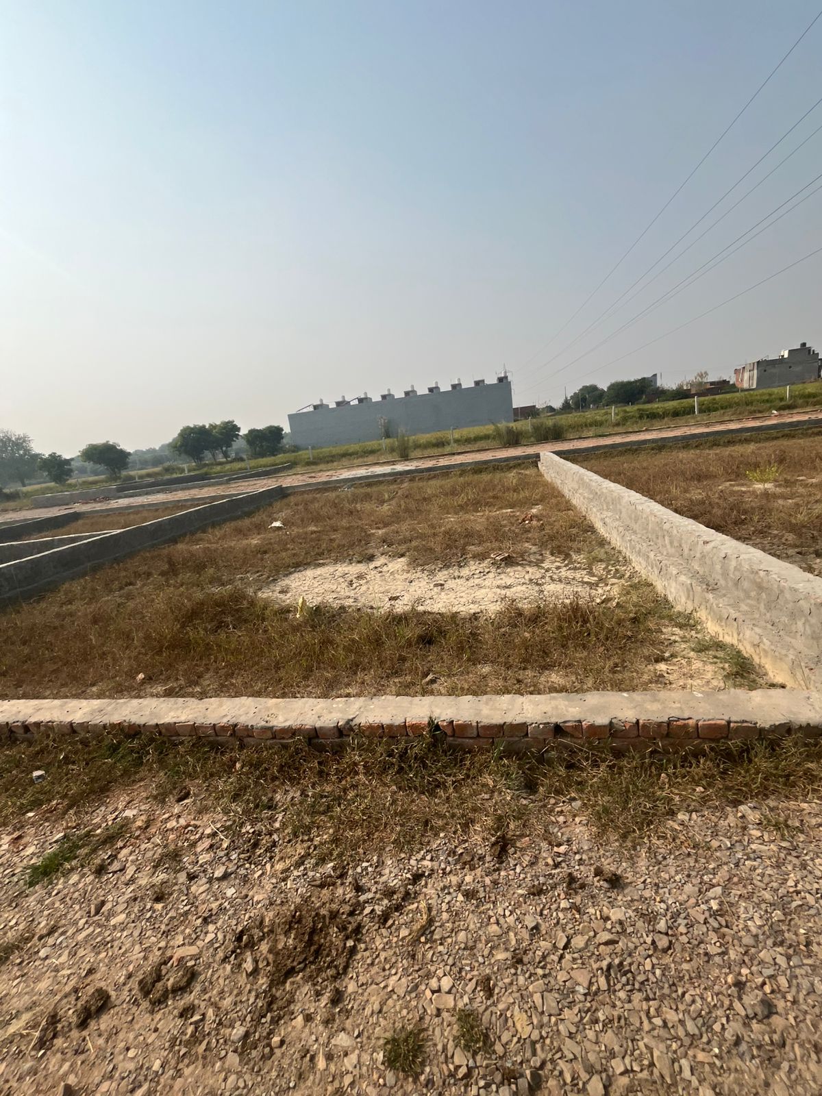 Plot For Resale in Sector 3 Noida  7738333