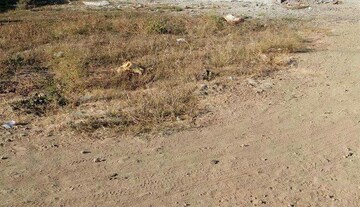 Plot Area in  Plot at Manish Nagar – for Sale