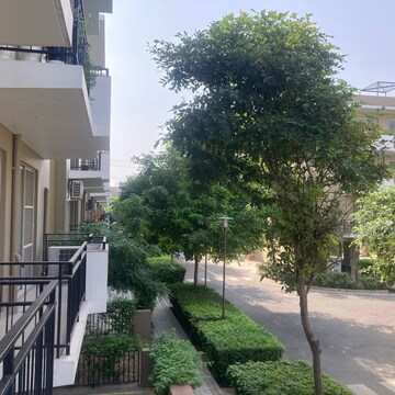 3.5 BHK Apartment For Sale in Vatika Xpressions, Sector 88b