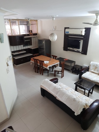 4 BHK Apartment For Rent in Sector 45 Chandigarh  7739016