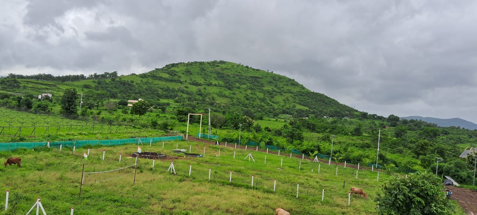 Plot For Resale in Trimbak Road Nashik  7738941