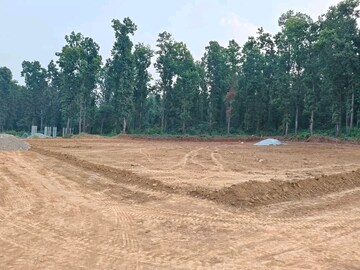 Plot Area in  Plot at Raipur Road – for Sale