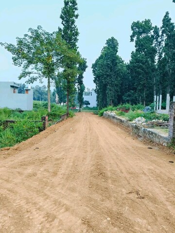 Plot Area in  Plot at Raipur Road – for Sale