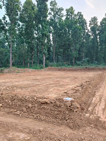 Plot Area in  Plot at Raipur Road – for Sale