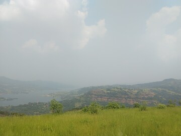 Plot Area in  Plot at Panshet – for Sale