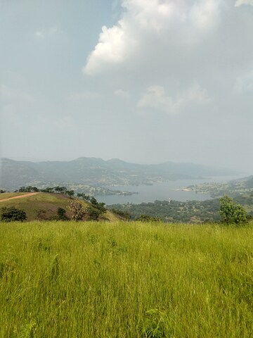  Plot – Exterior View View at Panshet - for Sale