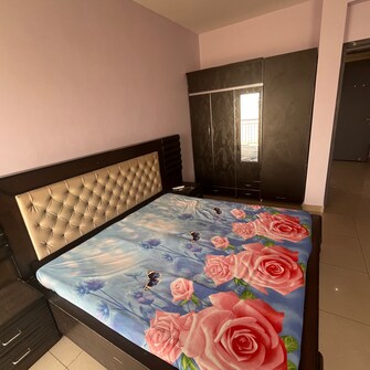 1 BHK Apartment For Rent in AVL 36 Gurgaon Sector 36a Gurgaon  7740135