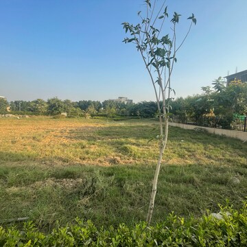 Plot Area in  Plot at Raheja Vanya, Sector 99a – for Sale